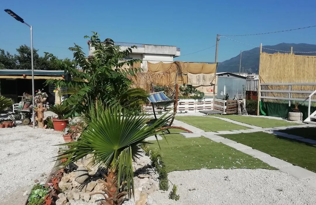 B&B Ciro-1
